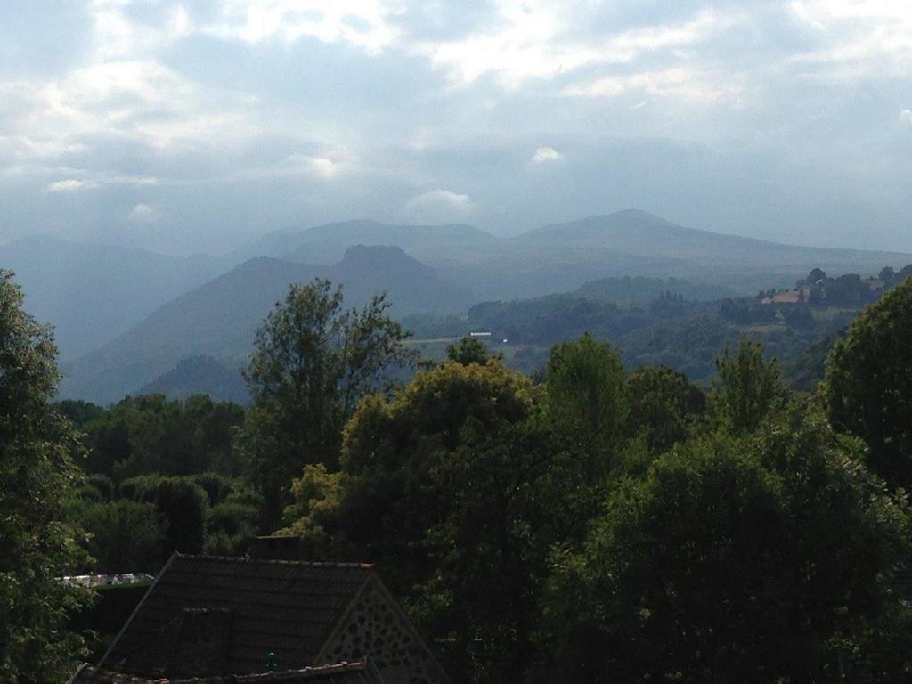 La Vue Sur Le Paradis Chambon-sur-Lac Camera foto